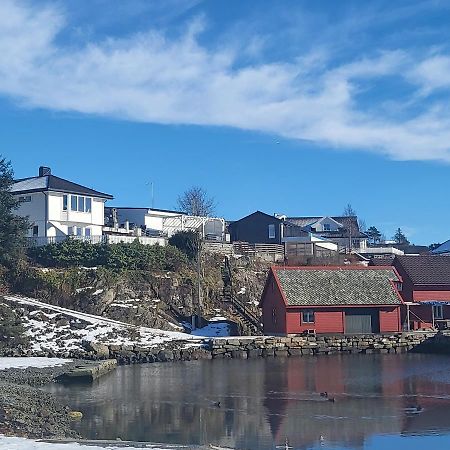 Cute Apartment By The Ocean Foldnes Екстер'єр фото